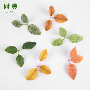 �S�����l�����~��ֲ��Ҿ��k���bW�y�����컨ֲ�����ɽ��~��