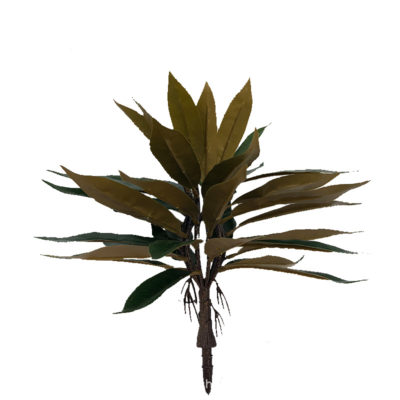 XRS-011 盆栽栲树叶 (3).jpg