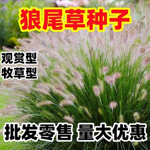 �^�p��β�ݷN������������β�ݷN�����Թ��@�G����·�ӵ��o�²���