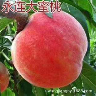 ���B���Ҙ�����Ҙ�޽��������S���Ә��m�������Թ������������