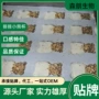 定制源头益生菌
