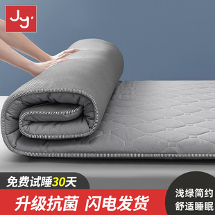 Mattress Cushion Home Dormitory Bed Mattress Student Single Rent Special Thickened Tatami Mat Floor Sleeping Mat