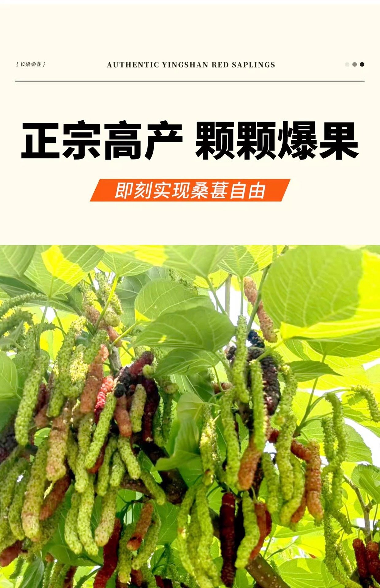 O1CN01xCQljf1KQs68qno7L_!!2219532571159-0-cib.jpg?sign=583921_Mzg0OTAxODQ5