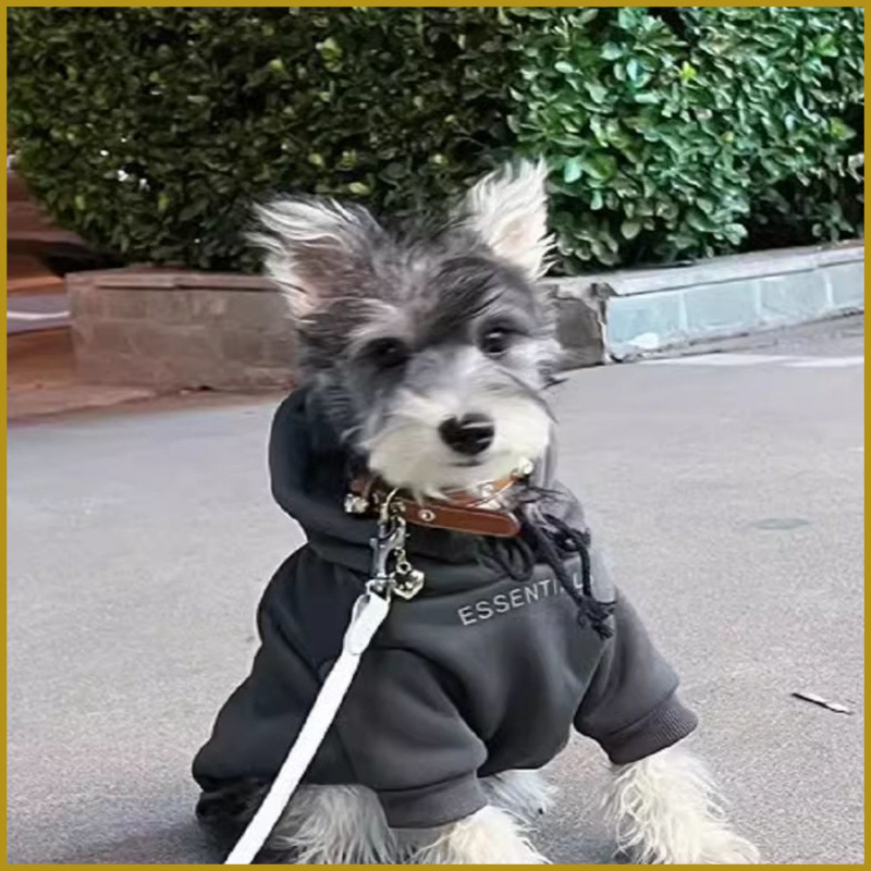 犬服 2025 新作春服テディシェリーナ小型犬ヨークシャーインターネットセレブ犬トレンディなブランドスウェットシャツ夏スタイル|undefined