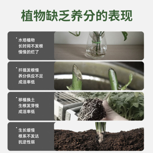 Manufacturer wholesale rapid rooting solution for transplanting flower seedlings, transplanting flowers, transplanting succulent plants, rooting agent