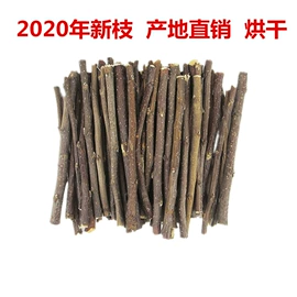 鸟笼;鸟类;其他小宠用品