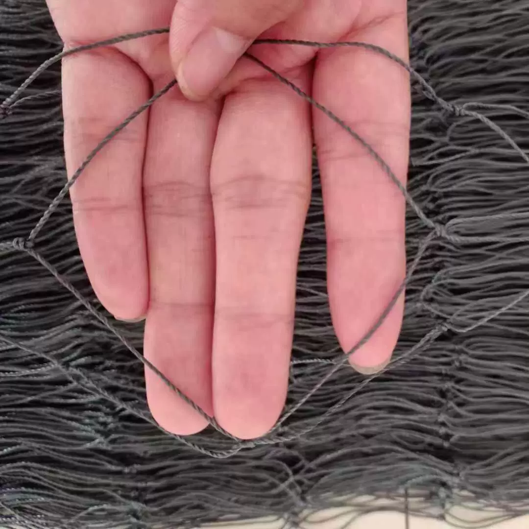 Анти -- солнце черного экспорта сети анти -- птицы нейлона защитного чистого обозначая чистое против старения