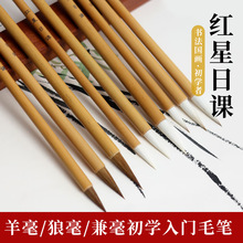 红星 日课毛笔书法专用初学者兼毫狼毫羊毫小楷毛笔小学生成人