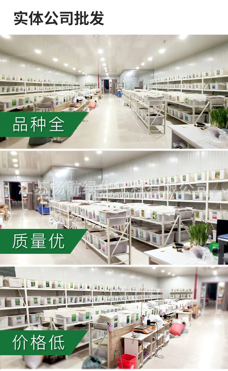 品种全质量优价格低