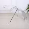 Transparent