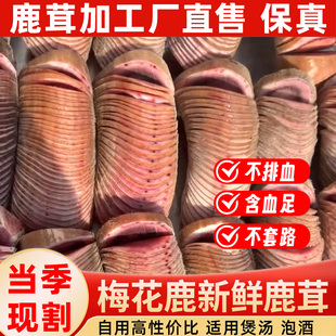 ����÷��¹�r¹��������ֱ�����r��Ѫ�r¹��Ƭ�r¹���ݾ���