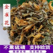 金雀花 坝齿花 金鹊花 阳雀花 猪蹄花锦鸡儿花包邮