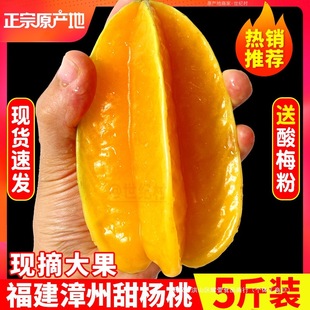 �������������5��ˮ���������������r�����r�t���P����������