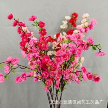 ���滨�һ���֧���������һ���c�ҾӾƵ��b��ļٻ��S�����l