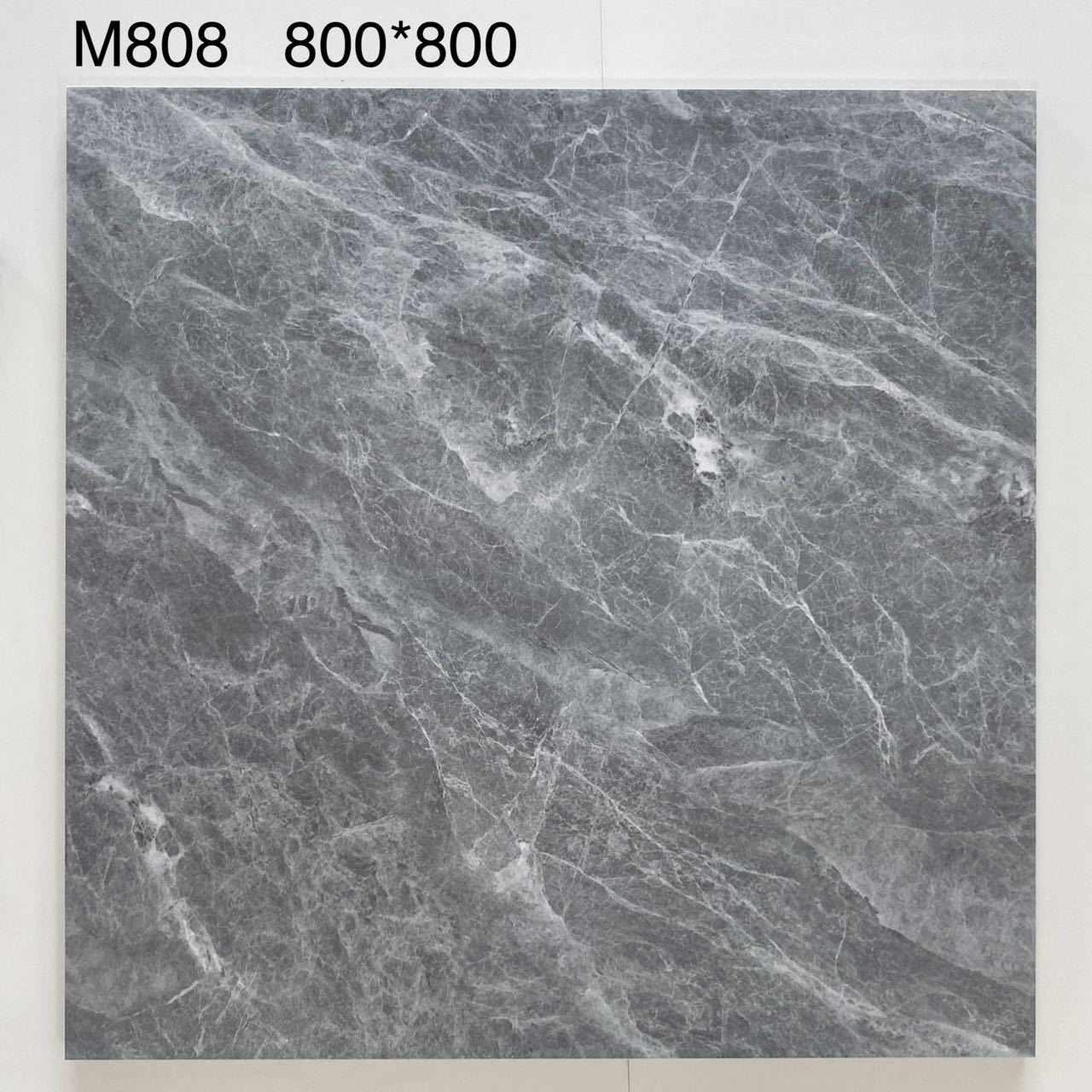 M808 / 800x800