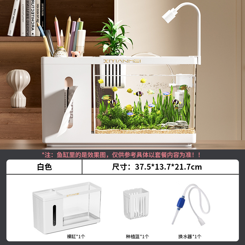 家用桌面创意鱼缸纸巾盒客厅生态斗鱼缸办公桌高透小型水培饲养缸|undefined