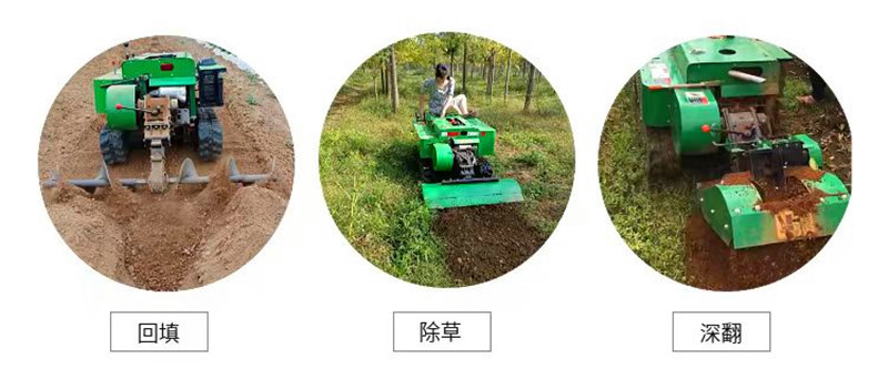 微信图片_20250216095031