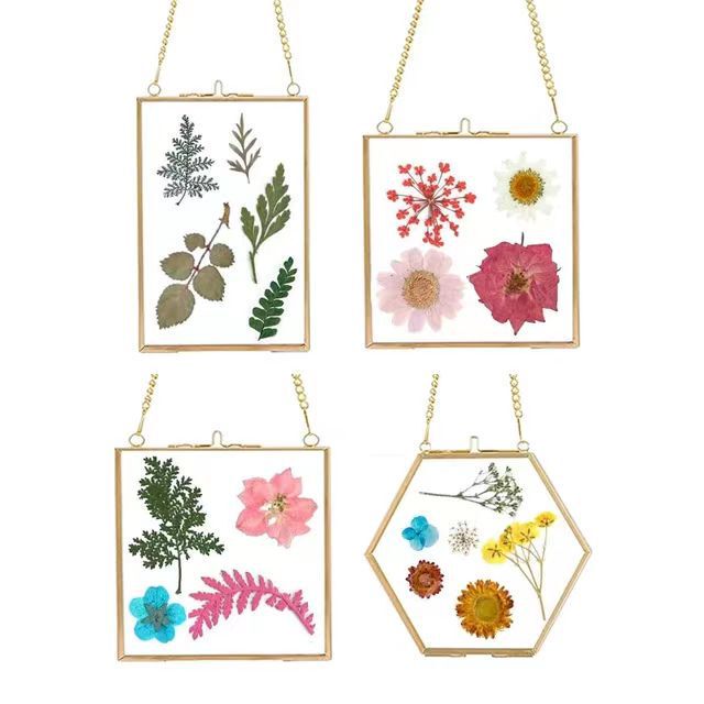 Metal photo frame decoration 6-inch 7-inch plant specimen glass transparent picture frame photo frame high-grade light luxury small ornaments Metal photo frame decoration 6-inch 7-inch plant specimen glass transparent picture frame photo frame high-grade light luxury small ornaments