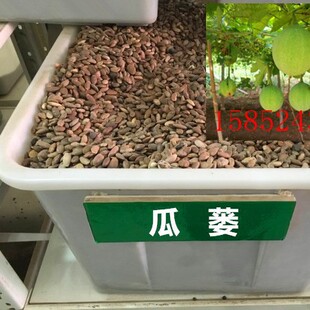 ���lɢ�b���۹��V�N�ӵ����ӷN�ӹ��V�ѿ����ǷN�ӹϘǷN�Ӱ�