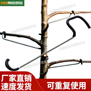 ������֦�����M���_������֦���ɶ������e֦���ғ܏��O����֦