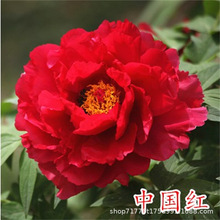 �Ї��t����ĵ������ѿ�l؛���Զ��֦��ꖻ���ֲ���҃�ͥԺ�̨