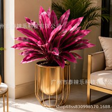 ��ʽ�羳���R�d�ָ���Ѫ�����ľ�~�B��ާ��콶�G�����~�쾰�b�