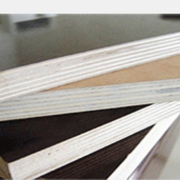 Venta caliente muebles tablero especial doble tecnología de madera triamina superficie eucalipto núcleo madera contrachapada