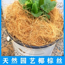 Ҭ�ؽzҬ�z���Ҭ���z300�˻����w�����������b�ʯ����Ȼ͸��