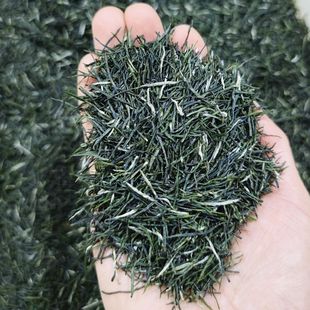 ë����~2025�²���~���ھG����ǰ��F��ѿ����������ֹ����ݲ�