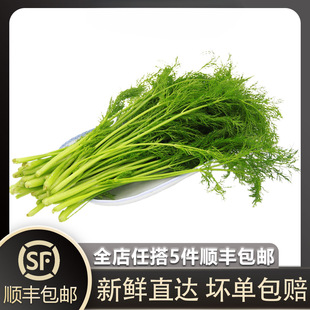 �������r�����~500g С���������r�����~����W�������