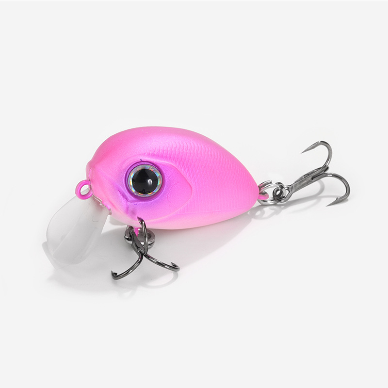 #컬러-3 섹시 파우더