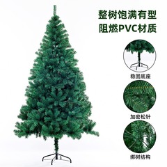 国境を越えたアマゾングリーン暗号化環境保護PVCクリスマスツリークリスマス装飾源メーカーがサンプル生産に来た