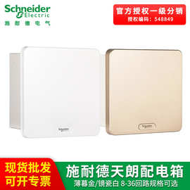 施耐德配电箱成套空开家用18暗装明装16弱电箱20回路36位强电箱