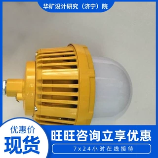 现货充足钻井用防爆平台灯 防水防尘防爆平台灯 钻井用防爆平台灯