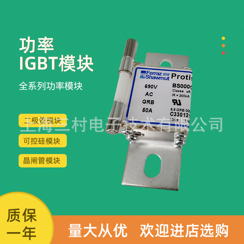 全新熔断器保险丝全新W220980/DN17GB69V50 X220981/DN17GB69V55