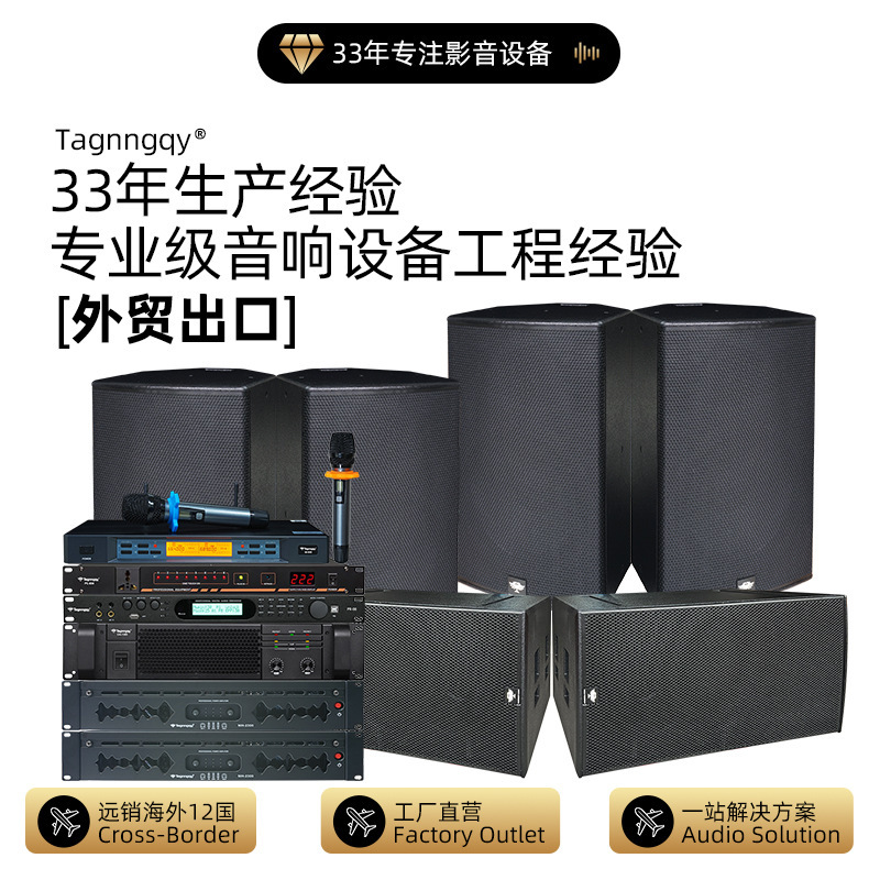 Cross-Border Tianlang Audio 15inch Party Ktv Audio Set Low Frequency High Power Speaker for Party Rooms, Bars, and Clubs Cross-Border Tianlang Audio 15inch Party Ktv Audio Set Low Frequency High Power Speaker for Party Rooms, Bars, and Clubs