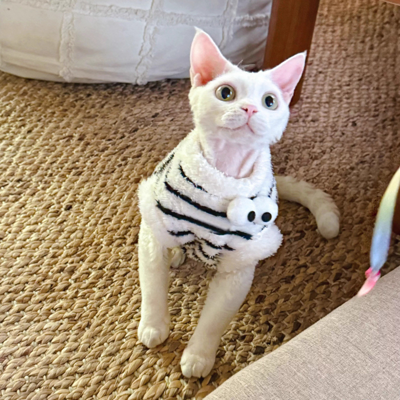 Otoño y invierno grueso chaleco de rayas caliente esfinge gato sin pelo germán gatito pequeño gato pequeño abrigo de peluche perro