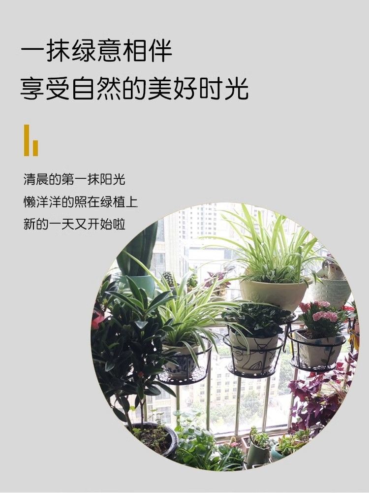 4305486c-9d57-451d-82fd-f06b7f768cd7.jpe