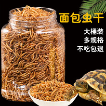 С�������ͨ�����A�����Z�~���r������x�������������w�����üZ