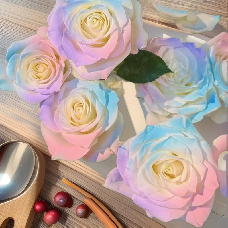 Редкие красочные семена роз, романтические розы, морозостойкие, четырехсезонные ароматные семена роз, горшечный уличный балкон