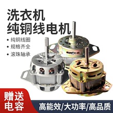 迷你双桶半全自动洗衣机洗涤排水脱水甩干桶变频马达纯铜电机通用