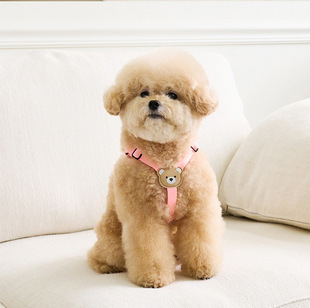 Dog Leash medium and small dog teddy bear Corgi rope cat pet chest strap puppy puppy dog chain