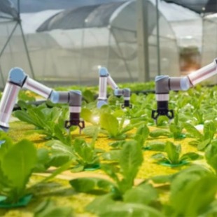 Efficient charging planting robot wireless charging module 600W wireless charging transmission efficiency in the benefit