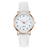 Fresh matte quartz watch for leisure, simple and elegant design, wholesale