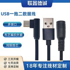 カスタマイズされた DC 電源ケーブル USB 1 対 2 データケーブル USBA オス - TYPE-C オス - DC5521 充電ケーブル