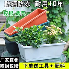 郦落新款草莓盆阳台种菜盆种菜家庭阳台蔬菜长条花盆槽盆栽种植盆