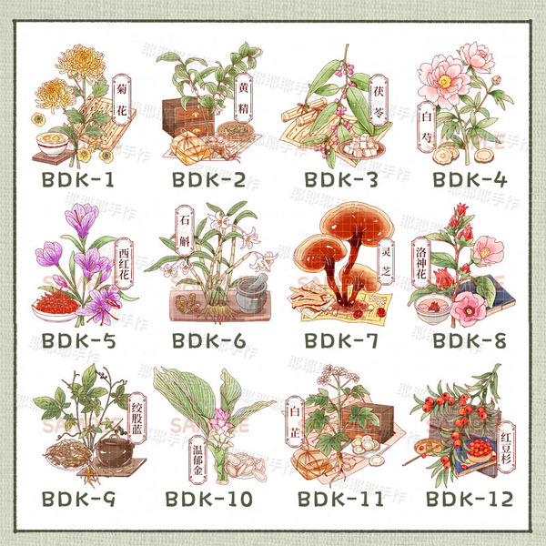 Chrysanthemum, Ganoderma, Dendrobium, Roselle, Yew, Refrigerator Magnet, Decorative Magnet, Popular Science Medicinal Materials Magnet, Gift for Friends