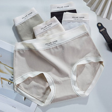 ϵƷ\L٤ѝŮʿߏ͸mdŮѝ