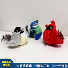 �羳؈���؈�����˽␞�l�����B����ë�qС�B��ȸ��؈���