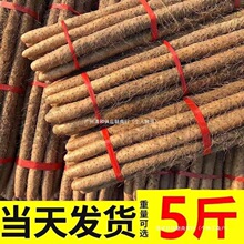 粉垆当季糯怀生铁杆包土铁棍山药甘甜河南焦作邮新鲜温县淮山其他